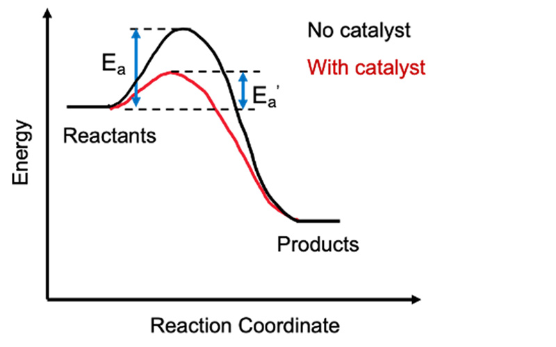 Case Studies in Catalysis - Success Stories and Tips for More Efficient ...